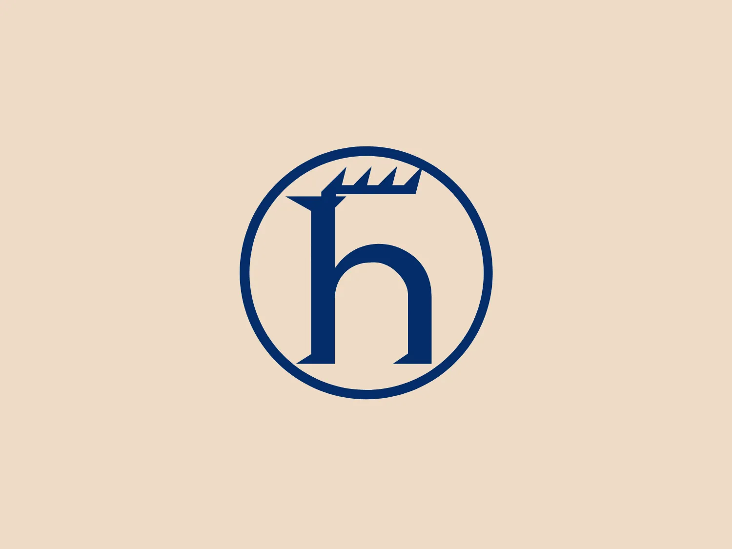 The Hirschmann logo features a stylized letter "h" enclosed within a circle. The uniquely designed "h" includes a comb-like projection extending from the top right, suggesting a connection to hair or grooming. Rendered in a solid, dark blue color, the design exudes a professional and clean appearance. The circular border adds a sense of completeness and unity to the design, making it distinctive and minimalist.